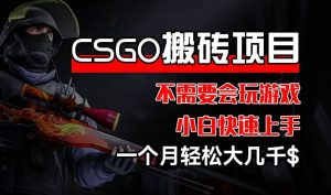 CSGO 装备搬砖项目，操作简单，不需要会玩游戏，小白也能快速上手，一个月轻松大几千【揭秘】-金鼎聊项目