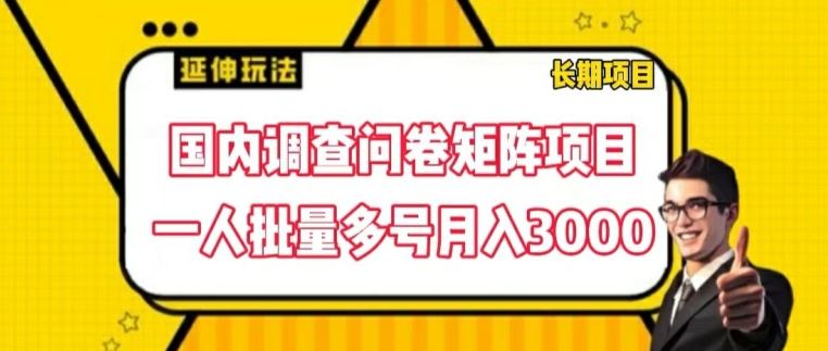 国内调查问卷矩阵项目，一人批量多号月入3000【揭秘】-金鼎聊项目
