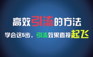 高效引流的方法，可以帮助你日引300+创业粉，一年轻松收入30万，比打工强太多！-金鼎聊项目