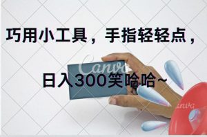 （11786期）巧用小工具，每天动动手，轻松日入300+-金鼎聊项目