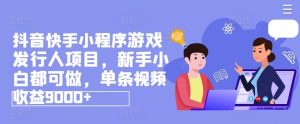 抖音快手小程序游戏发行人项目，新手小白都可做，单条视频收益9000+-金鼎聊项目