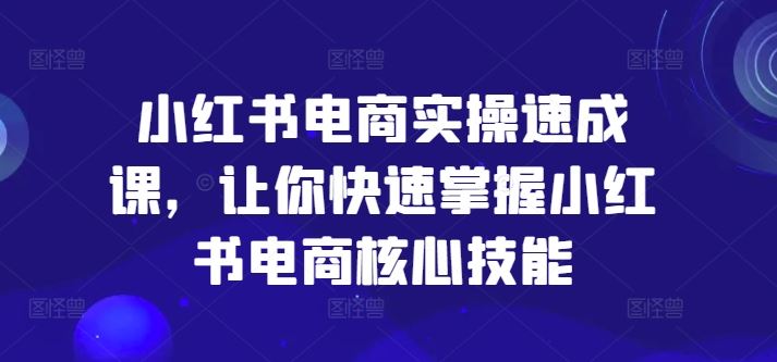 小红书电商实操速成课，让你快速掌握小红书电商核心技能-金鼎聊项目