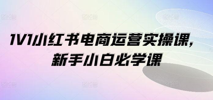 1V1小红书电商运营实操课，新手小白必学课-金鼎聊项目