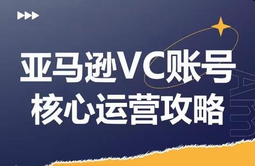 亚马逊VC账号核心玩法解析,实战经验拆解产品模块运营技巧,提升店铺GMV,有效提升运营利润-金鼎聊项目