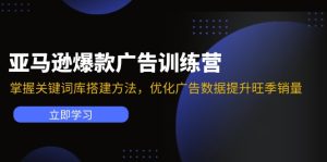 （11858期）亚马逊爆款广告训练营：掌握关键词库搭建方法，优化广告数据提升旺季销量-金鼎聊项目
