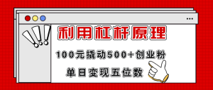 （11859期）利用杠杆100元撬动500+创业粉，单日变现5位数-金鼎聊项目