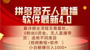（11891期）拼多多无人直播软件最新4.0，最详细全流程无需露脸，0粉丝0资金， 小白…-金鼎聊项目