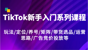 TikTok新手入门系列课程，玩法/定位/养号/矩阵/带货选品/运营思路/广告竞价投放等-金鼎聊项目