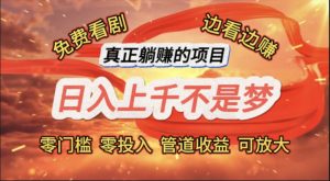 （11866期）免费看剧，边看边赚，日入上千不是梦，一个真正的躺赚项目-金鼎聊项目