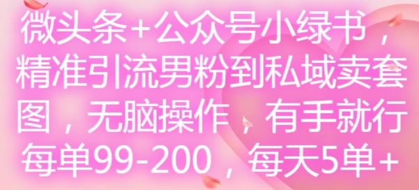 微头条+公众号小绿书,精准引流男粉到私域卖套图,无脑操作,有手就行,每单99-200,每天5单-金鼎聊项目