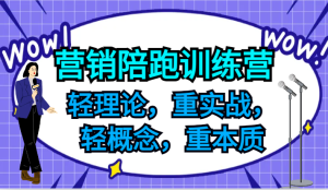 营销陪跑训练营,轻理论,重实战,轻概念,重本质,适合中小企业和初创企业的老板-金鼎聊项目