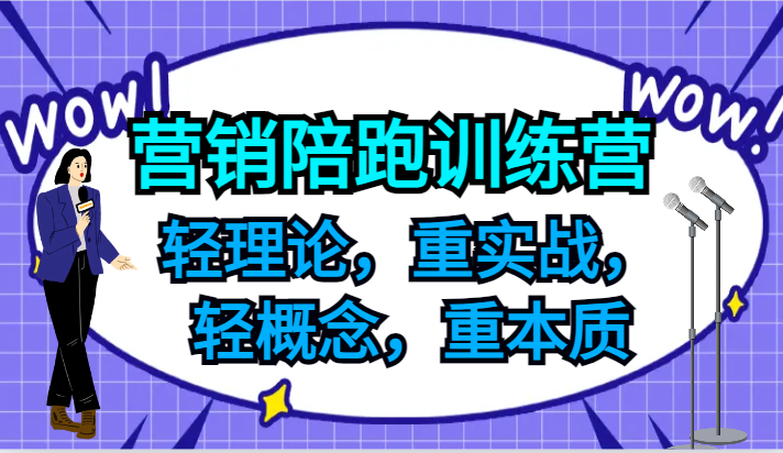 营销陪跑训练营,轻理论,重实战,轻概念,重本质,适合中小企业和初创企业的老板-金鼎聊项目