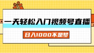 （11906期）一天入门视频号直播带货，日入1000不是梦-金鼎聊项目