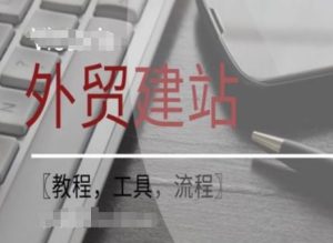 WordPress外贸建站+SEO优化课程【教程，工具，流程】-金鼎聊项目