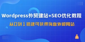WordPress外贸建站+SEO优化教程，从0到1搭建可获得询盘外贸网站（57节课）-金鼎聊项目