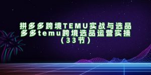 (11934期)拼多多跨境TEMU实战与选品,多多temu跨境选品运营实操(33节)-金鼎聊项目