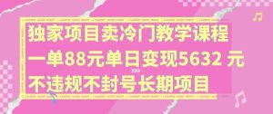 独家项目卖冷门教学课程一单88元单日变现5632元违规不封号长期项目【揭秘】-金鼎聊项目