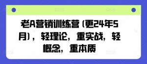 老A营销训练营(更24年7月),轻理论,重实战,轻概念,重本质-金鼎聊项目