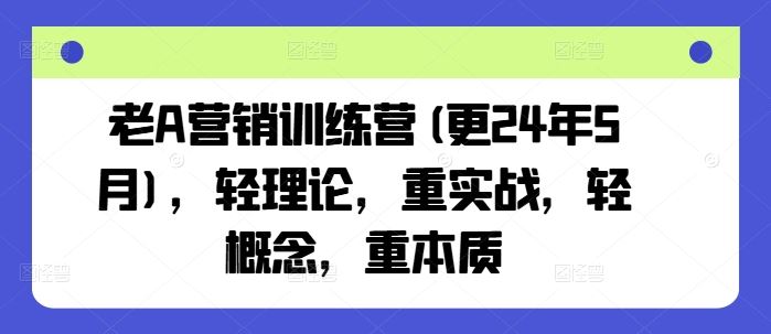 老A营销训练营(更24年7月),轻理论,重实战,轻概念,重本质-金鼎聊项目