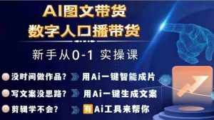 Ai图文带货+数字人口播带货，从0~1实操体系课-金鼎聊项目