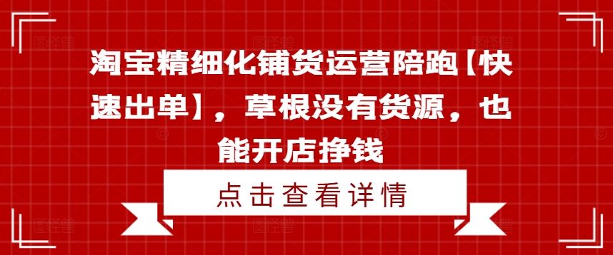 淘宝精细化铺货运营陪跑【快速出单】,草根没有货源,也能开店挣钱-金鼎聊项目