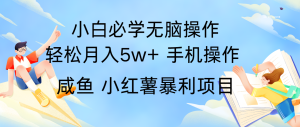 全网首发2024最暴利手机操作项目，简单无脑操作，每单利润最少500+-金鼎聊项目