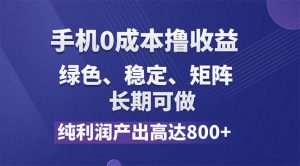 （11976期）纯利润高达800+，手机0成本撸羊毛，项目纯绿色，可稳定长期操作！-金鼎聊项目