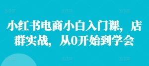 小红书电商小白入门课,店群实战,从0开始到学会-金鼎聊项目