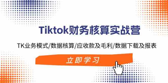 Tiktok财务核算实战营：TK业务模式/数据核算/应收款及毛利/数据下载及报表-金鼎聊项目