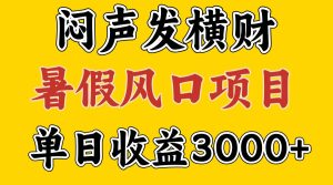 30天赚了7.5W 暑假风口项目，比较好学，2天左右上手-金鼎聊项目