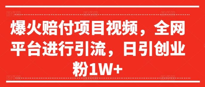 爆火赔付项目视频，全网平台进行引流，日引创业粉1W+【揭秘】-金鼎聊项目
