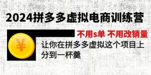（12024期）2024拼多多虚拟电商训练营 不s单 不改销量  做虚拟项目分一杯羹(更新10节)-金鼎聊项目