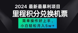 （12016期）2024最新里程积分兑换机票，手机操作小白轻松月入5万++-金鼎聊项目