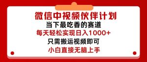 （12017期）微信中视频伙伴计划，仅靠搬运就能轻松实现日入500+，关键操作还简单，…-金鼎聊项目