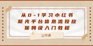 （12020期）从0-1学习小红书 聚光平台信息流投放，保姆级入门教程（12节课）-金鼎聊项目
