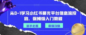 从0-1学习小红书聚光平台信息流投放，保姆级入门教程-金鼎聊项目