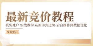 竞价教程:真实账户 实战教学 从新手到进阶·后台操作到数据优化-金鼎聊项目