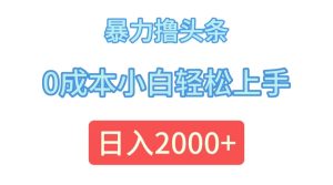 （12068期）暴力撸头条，0成本小白轻松上手，日入2000+-金鼎聊项目