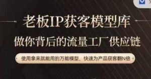 老板IP流量供应链,动作越少,账号越好,使用拿来就能用的万能模型,快速为产品获客翻N倍-金鼎聊项目