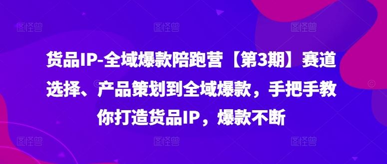 货品IP全域爆款陪跑营【第3期】赛道选择、产品策划到全域爆款，手把手教你打造货品IP，爆款不断-金鼎聊项目