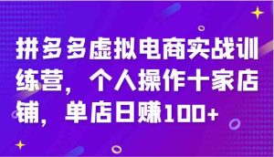 拼多多虚拟电商实战训练营，个人操作十家店铺，单店日赚100+-金鼎聊项目