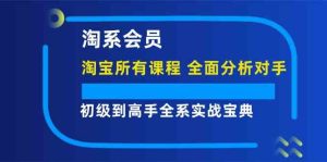 淘系会员初级到高手全系实战宝典【淘宝所有课程，全面分析对手】-金鼎聊项目