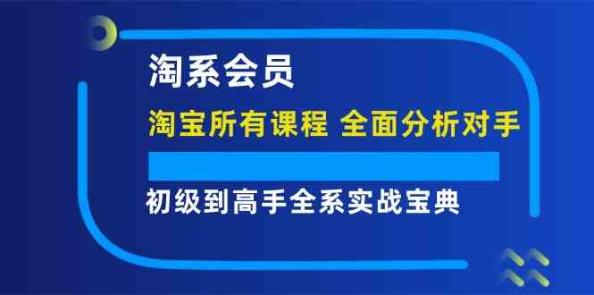 淘系会员初级到高手全系实战宝典【淘宝所有课程，全面分析对手】-金鼎聊项目
