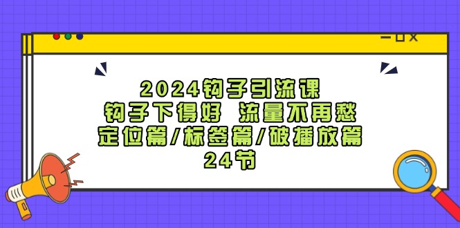 （12097期）2024钩子·引流课：钩子下得好 流量不再愁，定位篇/标签篇/破播放篇/24节-金鼎聊项目