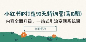 小红书IP打造90天特训营(第10期)：内容全面升级，一站式引流变现系统课-金鼎聊项目