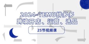 （12106期）2024-TEMU拼多多·跨境开店、运营、选品（25节视频课）-金鼎聊项目