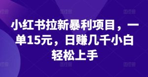小红书拉新暴利项目，一单15元，日赚几千小白轻松上手-金鼎聊项目