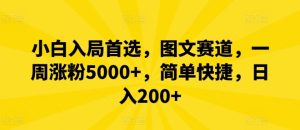 小白入局首选，图文赛道，一周涨粉5000+，简单快捷，日入200+-金鼎聊项目