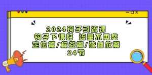 2024钩子引流课:钩子下得好流量不再愁,定位篇/标签篇/破播放篇/24节-金鼎聊项目