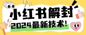 2024最新小红书账号封禁解封方法,无限释放手机号-金鼎聊项目